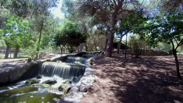 Νερό Χαρακτηριστικό Στο Πάρκο Reina Sofia Στο Guardamar — Αρχείο Βίντεο