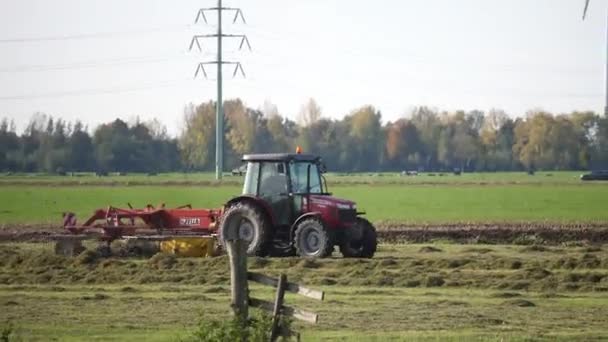 オランダの晴れた秋の日に赤いトラクターが畑で作物を切り取っています — ストック動画