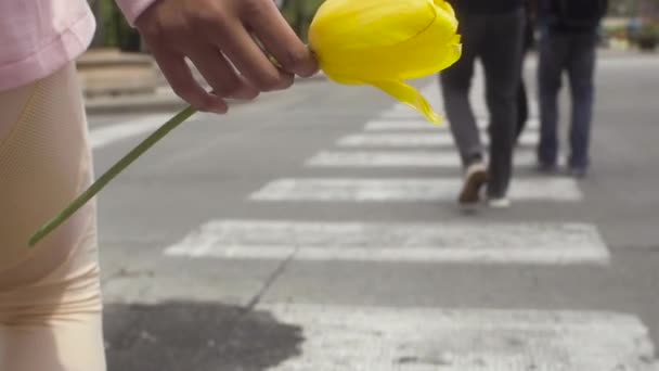 Tulipan Jest Trzymany Rękach Łagodnej Młodej Kobiety Centrum Chicago Przechodzi — Wideo stockowe