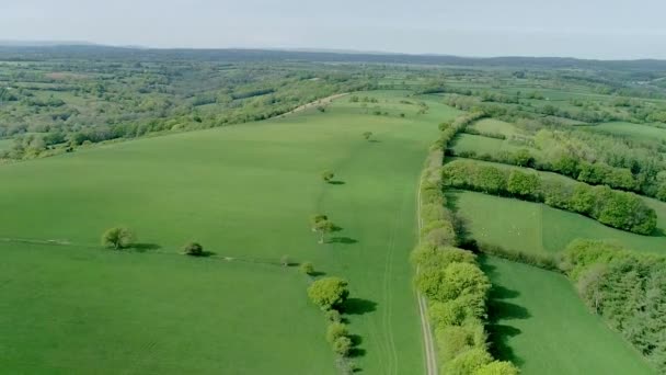 Drone Girato Una Vasta Regione Verde Del Galles Regno Unito — Video Stock
