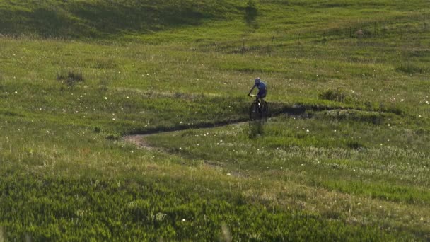 Mountain Bike Cavallo Sentiero — Video Stock