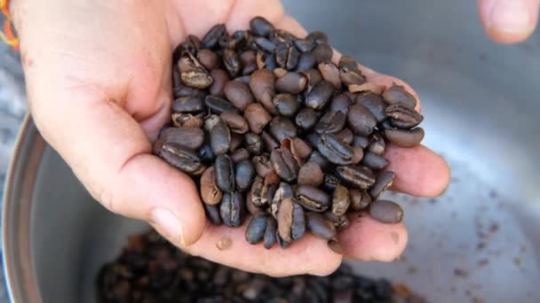 Jordbrukaren Handkontrollerar Kvaliteten Rostade Kaffebönor Närbild Mans Hand Plocka Upp — Stockvideo