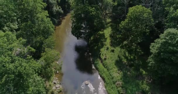 Río Valle Una Joya Escondida — Vídeo de stock