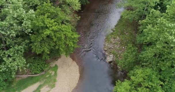 시냇가를 흐르는 아름다운 물줄기 — 비디오