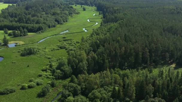 Εναέρια Ενός Ποταμού Που Ρέει Μεταξύ Των Δασών Ένα Μικρό — Αρχείο Βίντεο