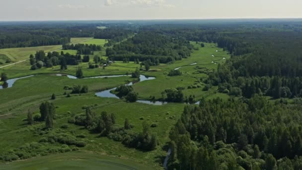 Aérea Río Que Fluye Campo Trigo Camino Campo — Vídeo de stock