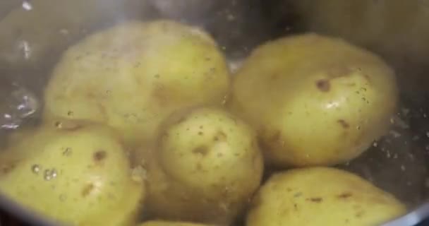 Gros Plan Des Pommes Terre Crues Dans Eau Bouillante — Video