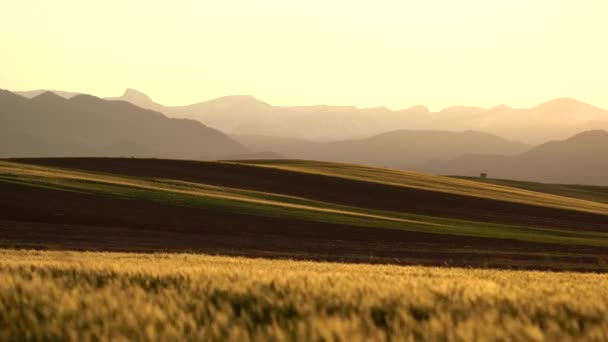 Vista Para Pôr Sol Front Range Colorado — Vídeo de Stock