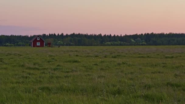 Cottage Field Sunset Forest Background — Stock Video