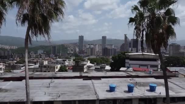 Tagsüber Luftaufnahmen Durch Palmen Und Über Dem Vorort Sarria Westen — Stockvideo