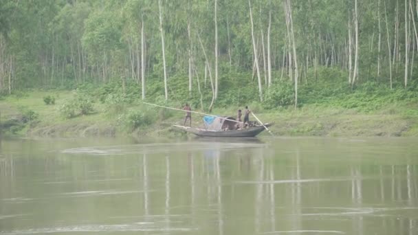 一条船正驶过一条穿过河流的芒果树林 — 图库视频影像