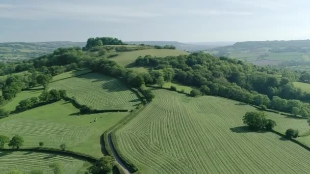 在英格兰乡间的一座孤零零的山丘上 空中升起 田野被砍伐了 可见割草的花纹 — 图库视频影像