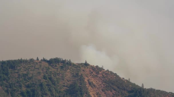 Zoom Rauchfahne Von Einem Waldbrand Berg — Stockvideo