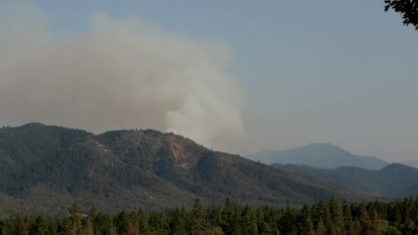 Wide View Wildfire Smoke Plume — Stock Video