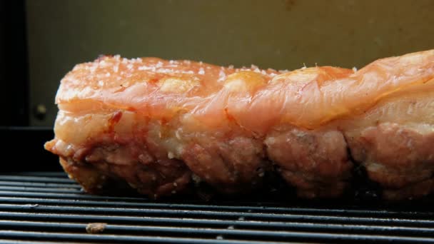 Délicieux Ventre Porc Fumé Viande Grillée Sur Barbecue Grill Gros — Video