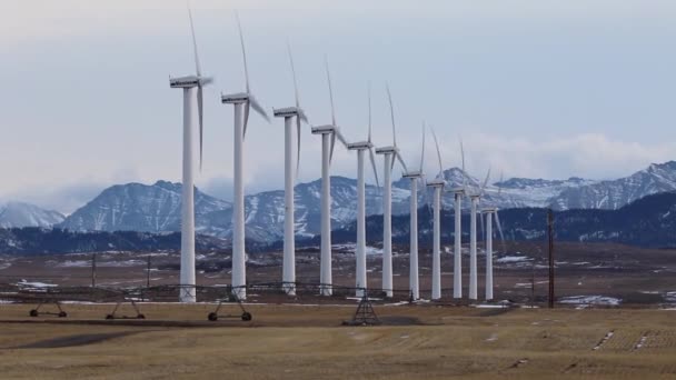 アルバータ州南西部の草原地帯でチヌーク風を吹くことによって駆動される風力タービンの冬の風景 — ストック動画