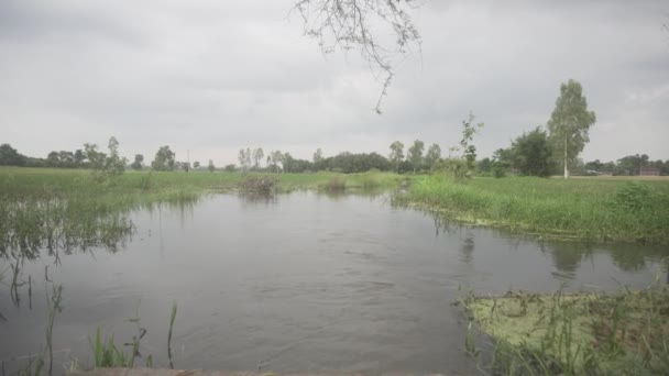 Enger Kanal Des Dorfes Bangladesch Mit Dem Wasserstrom — Stockvideo