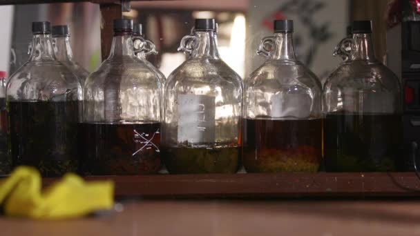 Group Homemade Bottles Liquor Infusing Different Herbs Sitting Bar — Stock Video