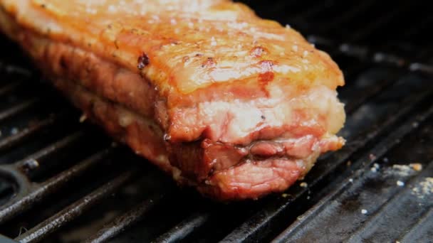 Lezat Daging Babi Panggang Perut Panggang Pada Barbekyu Panggangan Close — Stok Video