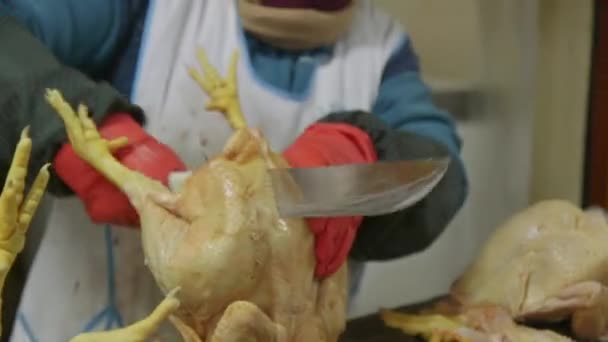 秘鲁Ollantaytambo的一个市场摊贩用一把大刀切碎生鸡 紧紧抓住她的手和刀 — 图库视频影像