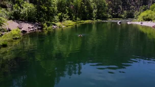 Luchtfoto Drone Schot Van Vrouw Snorkelen Heldere Mooie Rivier — Stockvideo