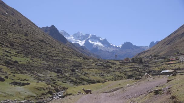 Una Strada Sterrata Nelle Ande Peruviane Conduce Attraverso Remoto Villaggio — Video Stock