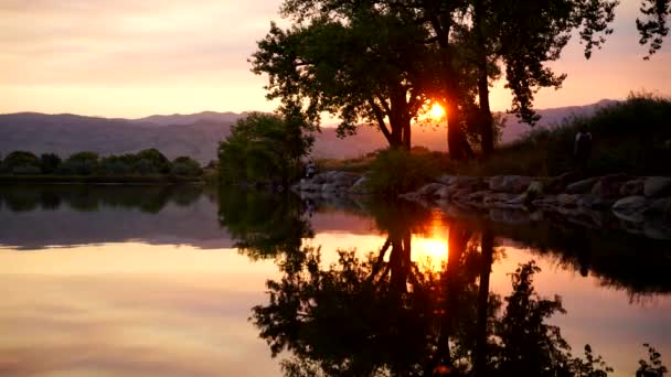 日没の時間経過と湖の表面上の木の反射 — ストック動画