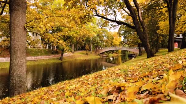 淡淡的微风吹拂着金秋季节公园的静谧镜头 金秋季节公园的小池塘上洒满了华丽的混凝土边沿 — 图库视频影像