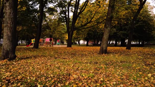 Vacker Och Gyllene Park Kronvalda Riga Lettland Höstens Säsong Människor — Stockvideo
