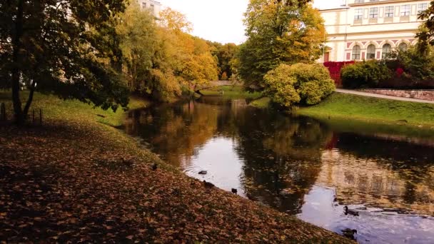 Goldener Herbst Park Mit Schönen Weißen Gebäude Der Ferne Kronvalda — Stockvideo