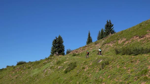 Hegyi Kerékpárosok Lovaglás Colorado Trail San Juan Hegység — Stock videók