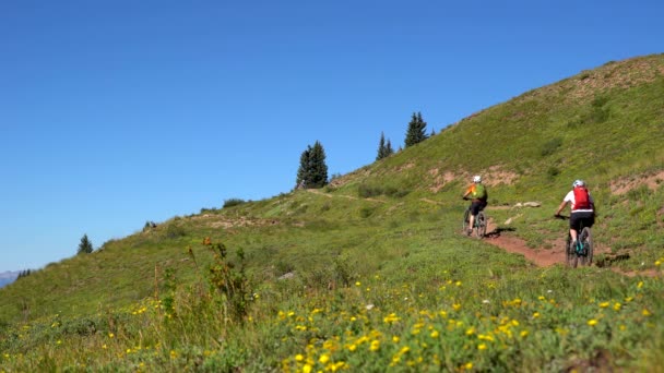 Hegyi Kerékpárosok Lovaglás Colorado Trail San Juan Hegység — Stock videók