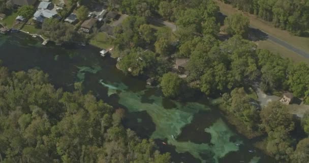 レインボースプリングスフロリダ航空V7高級住宅が州立公園沿いの川岸に並ぶ — ストック動画