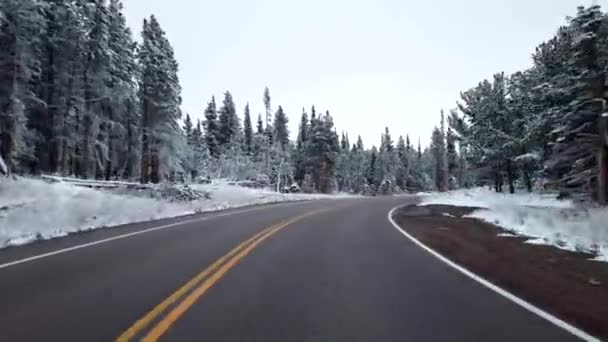 Pov Jazdy Górach Śnieżycy — Wideo stockowe