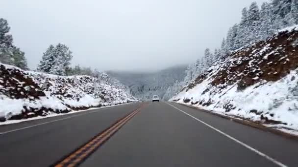 Pov Jízda Horách Sněhové Bouři — Stock video