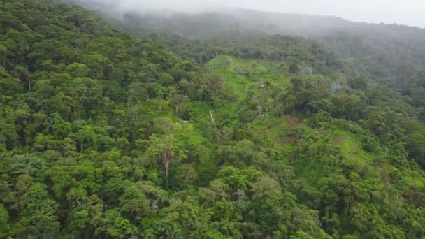 在多云的一天 无人机飞向森林中心的一个小瀑布 云雾笼罩在山坡上 — 图库视频影像