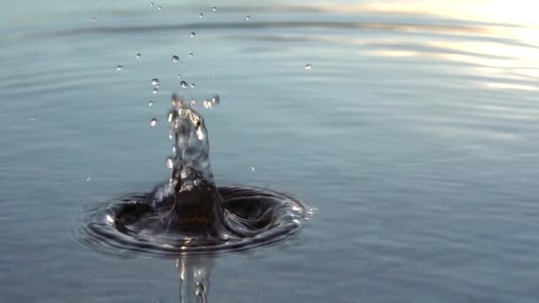 Imágenes Cámara Lenta Salpicaduras Superficie Del Agua — Vídeos de Stock