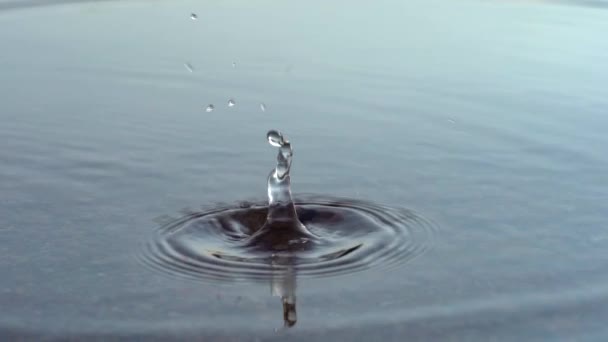 Imágenes Cámara Lenta Salpicaduras Superficie Del Agua — Vídeos de Stock