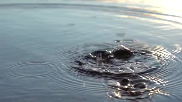 Rekaman Gerak Lambat Dari Percikan Permukaan Air — Stok Video