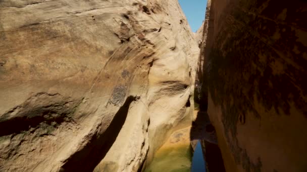 Ingång Till Zebra Slot Canyon Utah Med Grönt Vatten Botten — Stockvideo