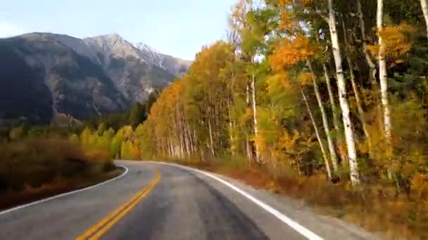 Fall Foliage Pov Driving Rocky Mountains Colorado — Stock Video