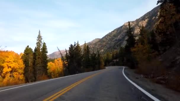 Val Gebladerte Pov Rijden Rocky Mountains Van Colorado — Stockvideo