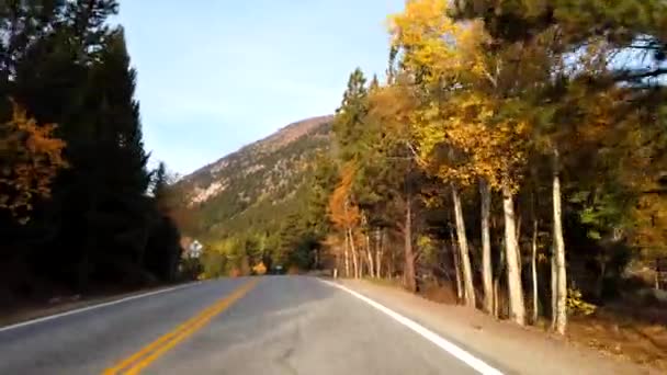 Faller Bladverk Pov Körning Klippiga Bergen Colorado — Stockvideo