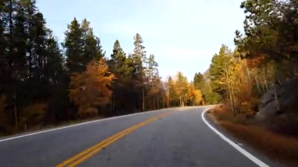 Herbstlaub Den Rocky Mountains Von Colorado — Stockvideo