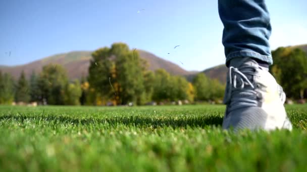 Uomo Calcio Pallone Calcio Rallentatore — Video Stock