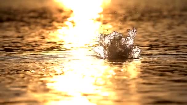 Повільний Рух Розбризкування Води Поверхні Озера Проти Сонячного Світла — стокове відео