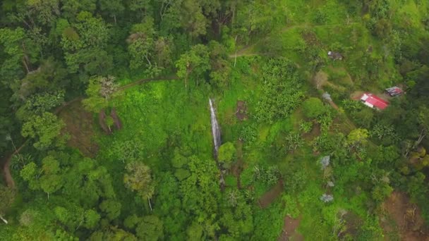 Drón Repül Felé Egy Kis Vízesés Közepén Egy Erdő Fedett — Stock videók