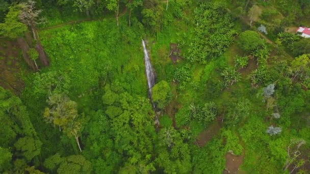 Drone Vliegt Een Kleine Waterval Midden Een Mistige Beboste Helling — Stockvideo