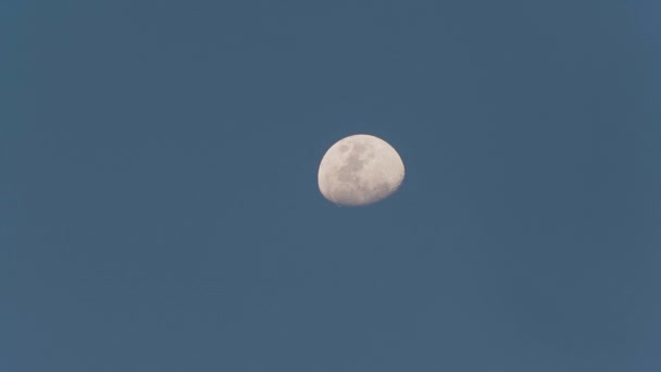 Blisko Księżyca Porusza Się Powoli Uchwycony Ciągu Dnia Czystym Niebieskim — Wideo stockowe
