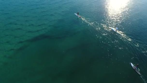 Vue Aérienne Des Paddle Boarders Profitant Eau Cristalline Plate Calme — Video